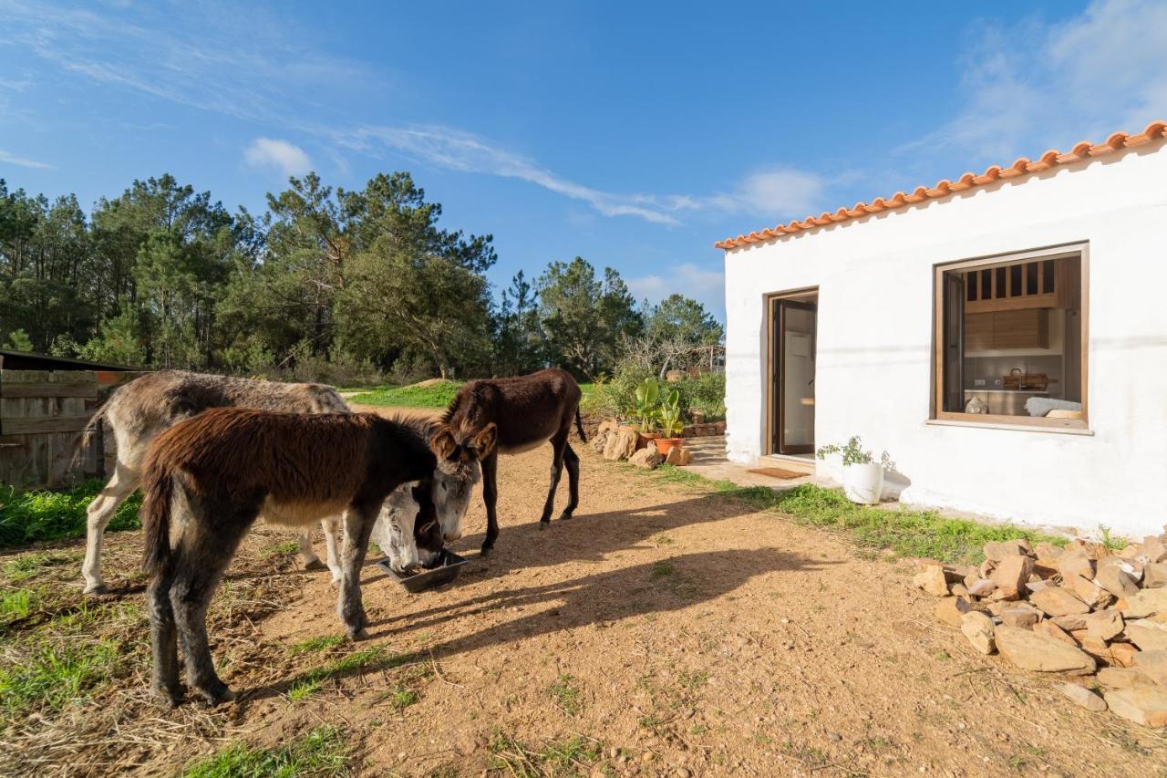 Ferienwohnung Casa Da Paz Aljezur Exterior foto