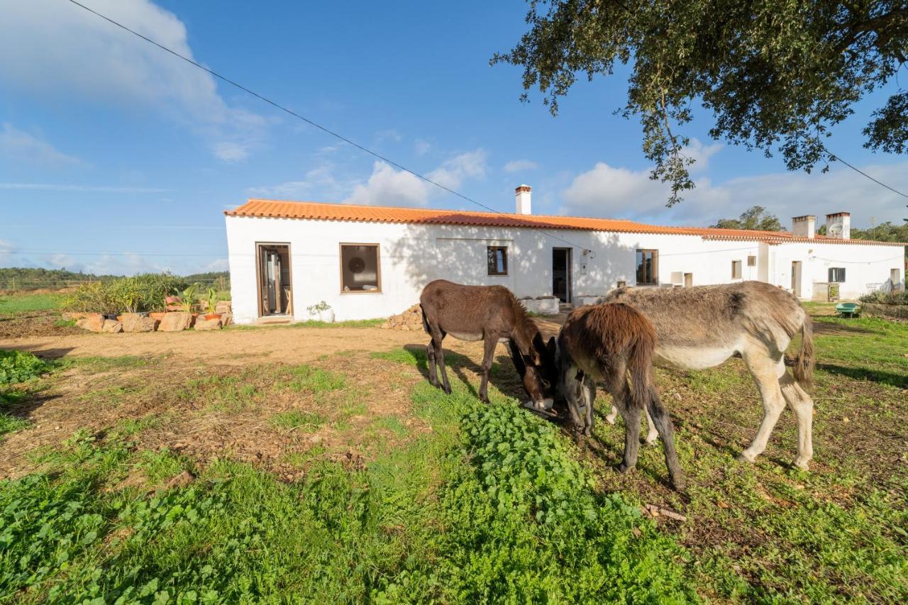 Ferienwohnung Casa Da Paz Aljezur Exterior foto